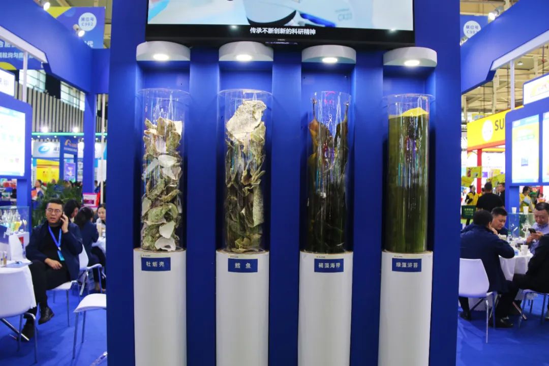 全国磷复肥会尊龙凯时生物亮点纷呈备受瞩目