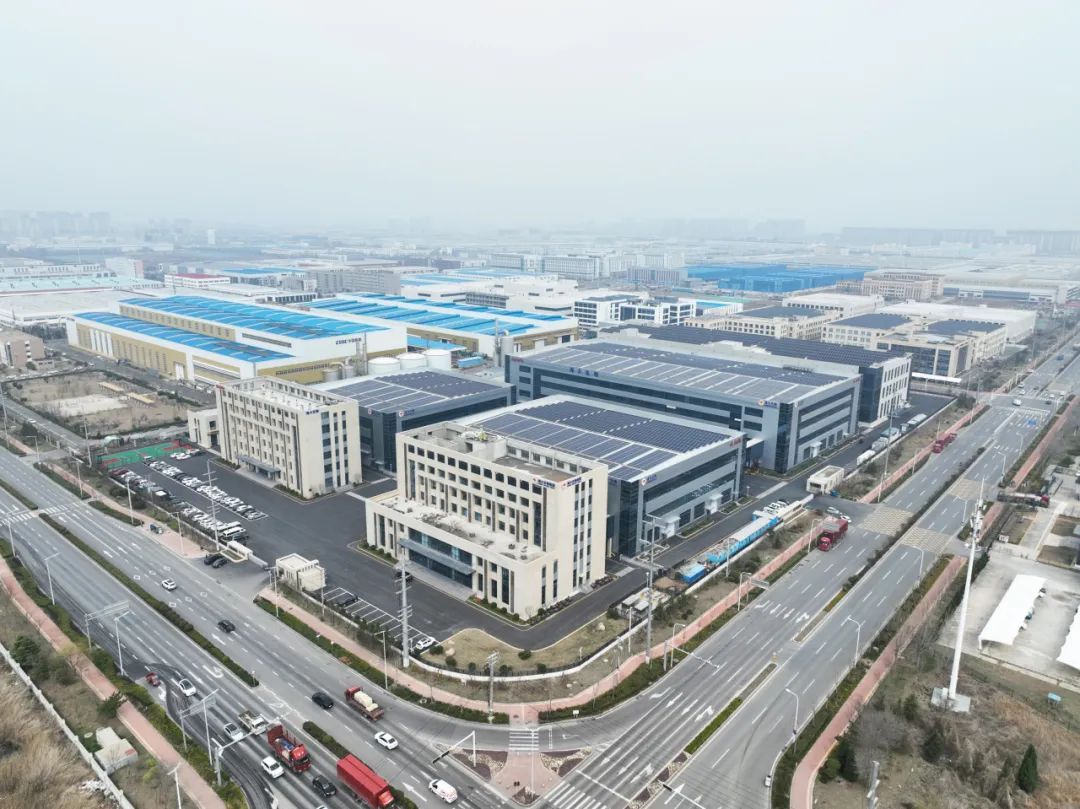 DeepSeek话说尊龙凯时生物