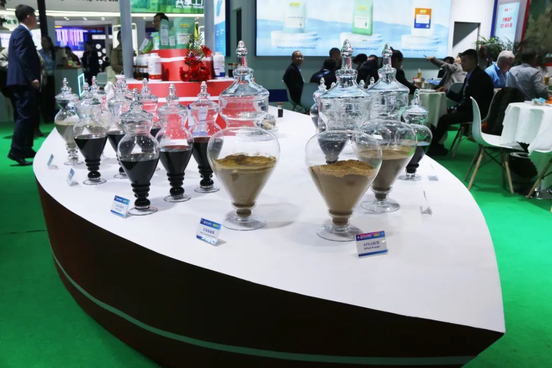 金牌赞助企业尊龙凯时生物全新亮相上海CAC国际农化展，以科技实力献礼25周年